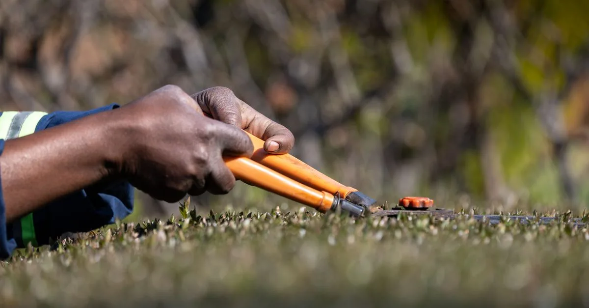 découvrez les meilleures techniques d'élagage pour entretenir vos arbres et arbustes, favoriser leur croissance et améliorer la santé de votre jardin.
